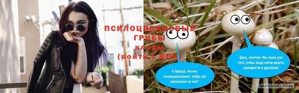 амф Аркадак
