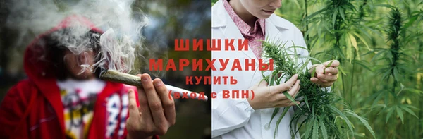 амф Аркадак