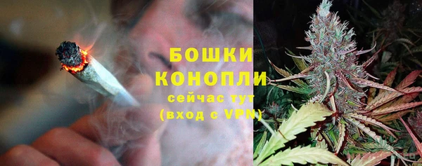 амф Аркадак